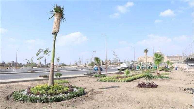 انطلاق المرحلة الرابعة من المبادرة الرئاسية ”100 مليون شجرة” بالفيوم