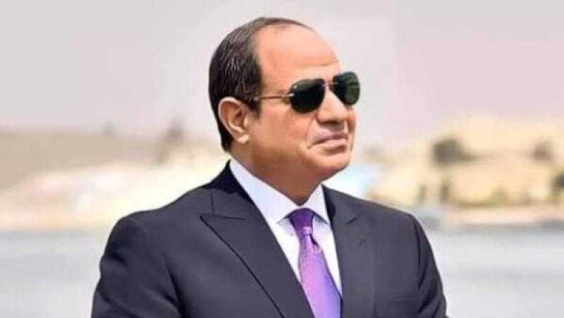 النائب أحمد حافظ: الرئيس السيسي أعاد لمصر ريادتها الدولية