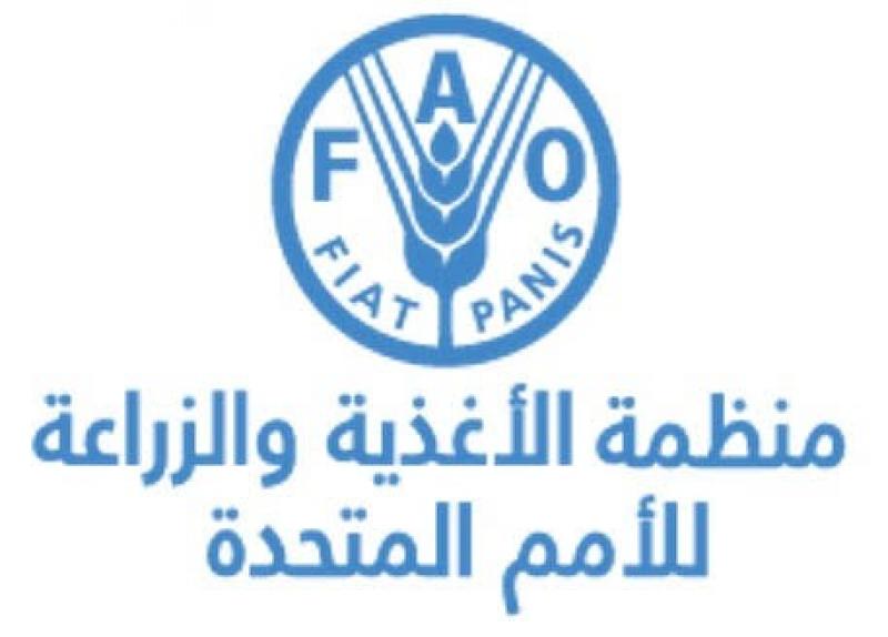 منظمة الفاو تحذر من كارثة إنسانية وزراعية غير مسبوقة في غزة