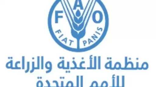 الفاو تُحذر: موجات الحر تُهدد الأمن الغذائي العالمي