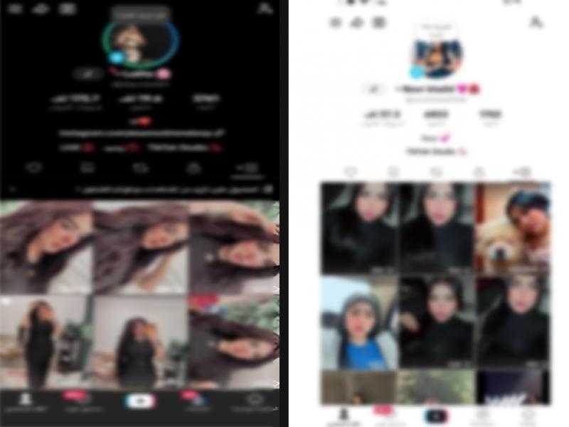 ضبط صانعتي محتوى استغلتا ”التواصل الاجتماعي” لتحقيق أرباح من مقاطع خادشة