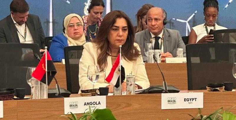 وزيرة التنمية المحلية تُشارك في حوار المائدة المستديرة حول ”التحول في مجال الطاقة”