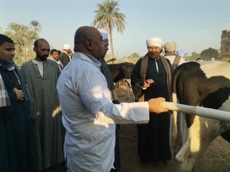 «الزراعة» تواصل حملاتها المكثفة للمرور على أسواق الماشية لمتابعة استقرار الوضع الوبائي