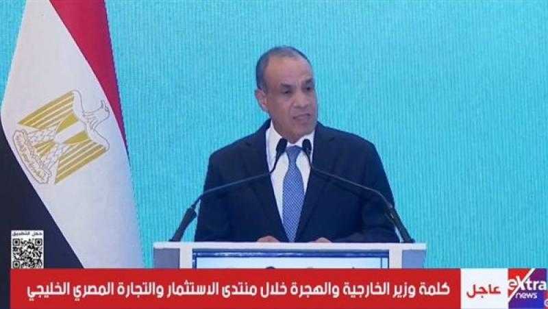 وزير الخارجية: الاستراتيجية الوطنية للاستثمار تهدف لرفع مساهمة القطاع الخاص بالاقتصاد المصري