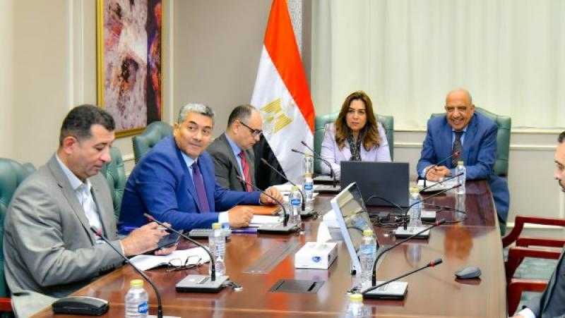 الكهرباء والبيئة يبحثان التعاون فى الطاقات المتجددة والموارد الطبيعية