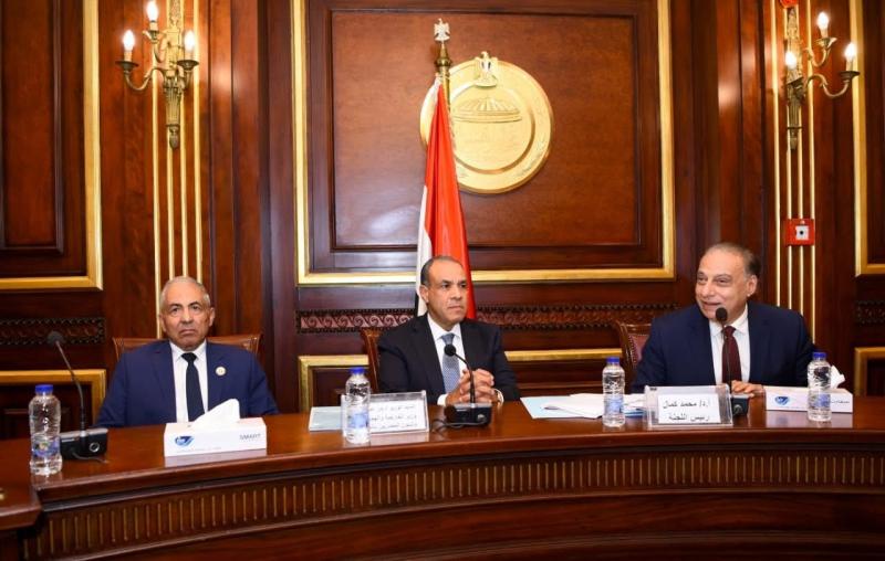 وزير الخارجية يلتقي مع لجنة العلاقات الخارجية والعربية والأفريقية بمجلس الشيوخ