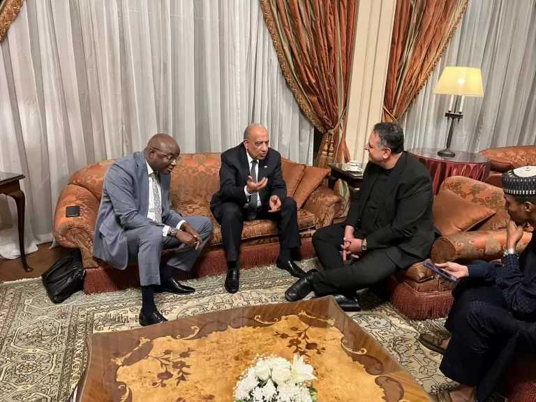 وزير الكهرباء يبحث مع وزير المياه والطاقة بجمهورية تشاد سبل التعاون