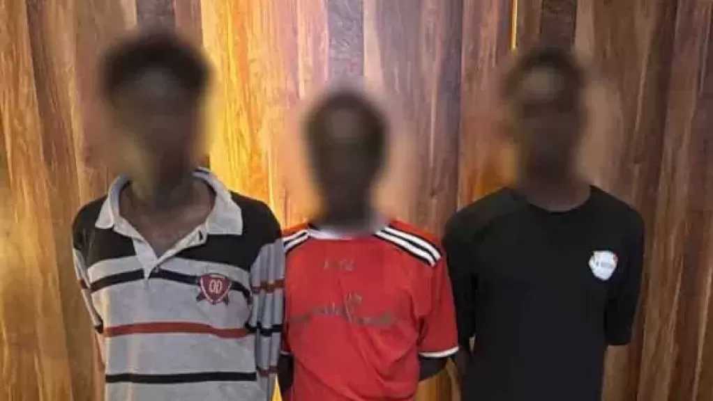 القبض على المتهمين بسرقة هاتف محمول من طالب بمدينة نصر