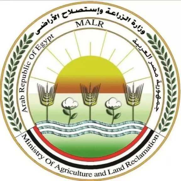 ”الزراعة” تعلن بدء الموسم التصديري الجديد لمحصول البرتقال المصري منتصف ديسمبر المقبل