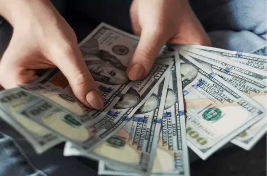 سعر الدولار اليوم الخميس 20 نوفمبر 2025 مقابل الجنيه المصري