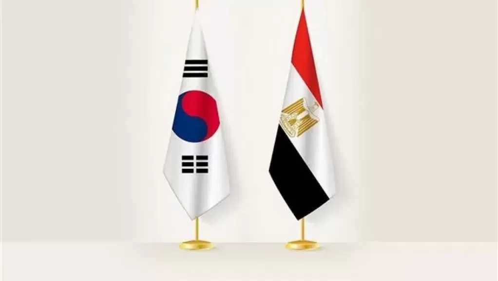 وزارة التخطيط تستعرض تطور الشراكة الاستراتيجية بين مصر وكوريا