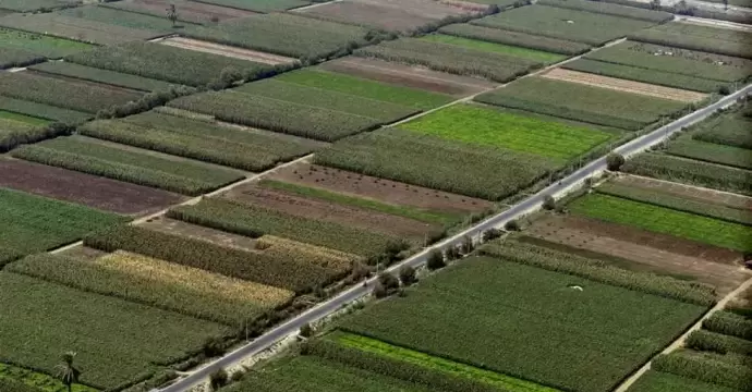 مزارعو بهادة بالقليوبية يناشدون رئيس الوزراء وقف الزيادات «التعجيزية» في إيجار الأراضي
