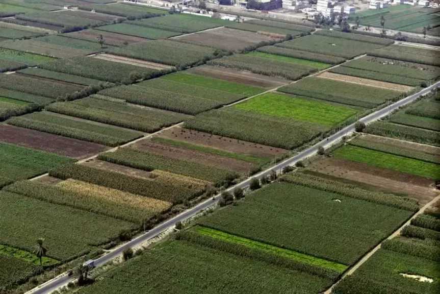 مزارعو بهادة بالقليوبية يناشدون رئيس الوزراء وقف الزيادات «التعجيزية» في إيجار الأراضي