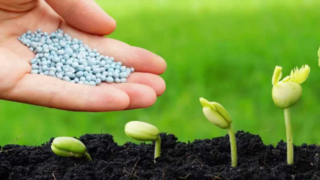 أسعار الأسمدة بالأسواق والجمعيات الزراعية اليوم الأحد 23 نوفمبر