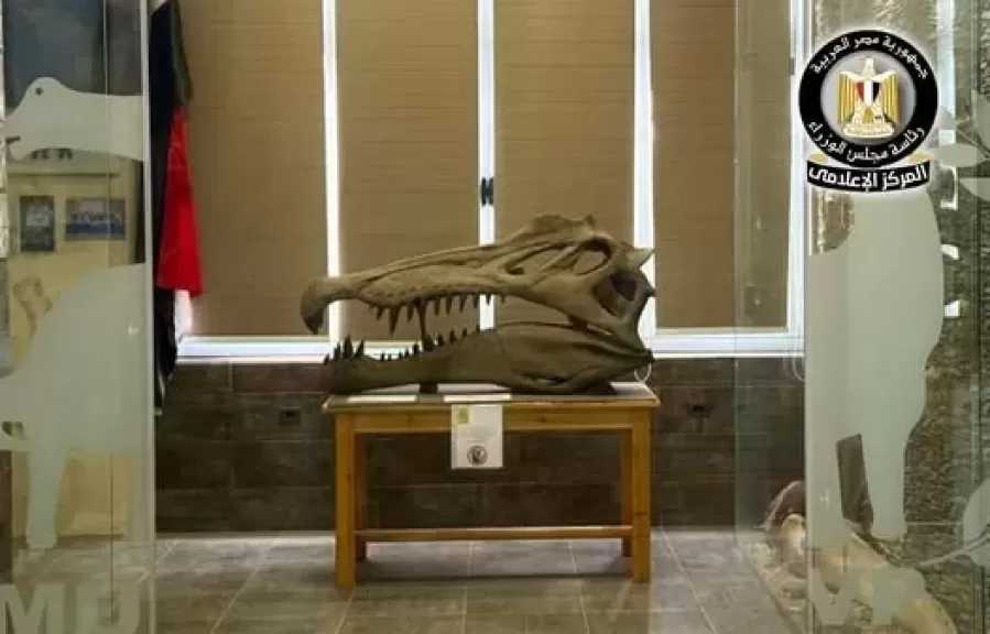 اكتشاف نوع جديد من التماسيح القديمة منذ 80 مليون عام بصحراء مصر الغربية