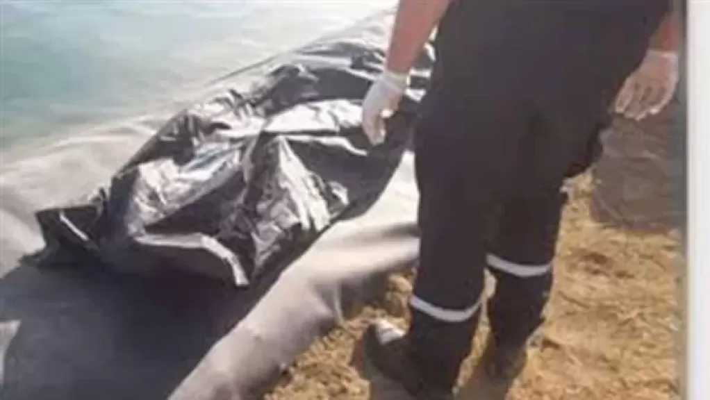 مصرع سائق غرقا بمركز المحمودية