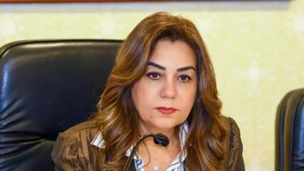 وزيرة التنمية المحلية: انتهاء استعدادات محافظات المرحلة الثانية لانتخابات مجلس النواب 2025