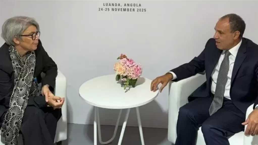 وزير الخارجية يلتقي مبعوثة الاتحاد الأوروبي للقرن الأفريقي