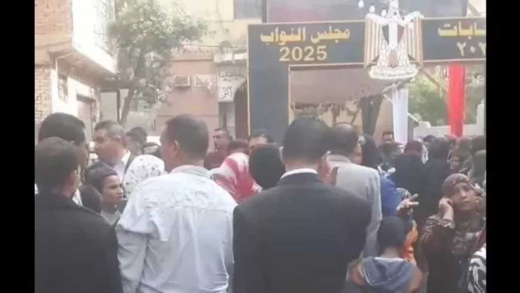 متابعون دوليون: انتخابات المرحلة الثانية لمجلس النواب تعكس التزامًا واضحًا بمعايير النزاهة