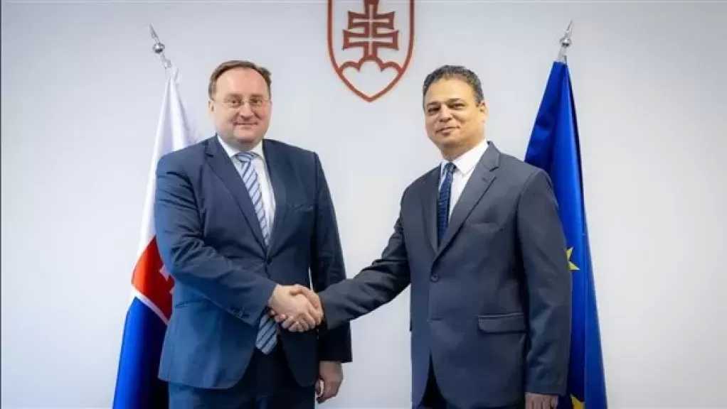السفير المصرى في سلوفاكيا يلتقى مع وزير الدولة بوزارة الاقتصاد