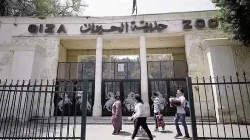 بعد تطويرها.. موعد افتتاح حديقة الحيوان بالجيزة