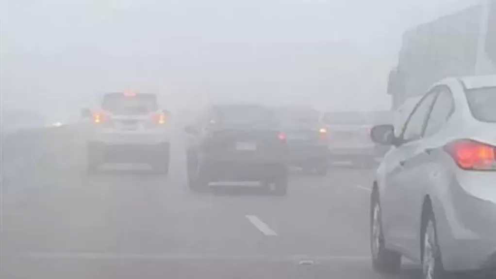 تفاصيل طقس الغد.. شبورة كثيفة وأمطار على هذه المناطق