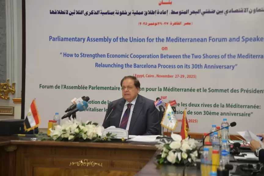 محمد أبو العينين: القضية الفلسطينية جوهر الصراع في الشرق الأوسط