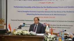 محمد أبو العينين: القضية الفلسطينية جوهر الصراع في الشرق الأوسط