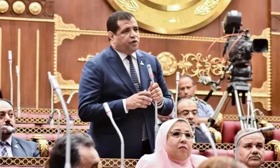 عضو بالشيوخ: كلمة الرئيس السيسى بالأكاديمية العسكرية بعثت برسائل هامة