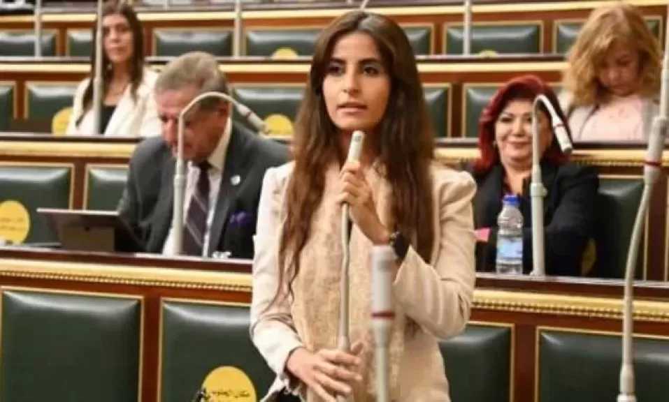 نائبة: تشويه الإخوان للانتخابات محاولة يائسة بعد قوة الدولة ومؤسساتها