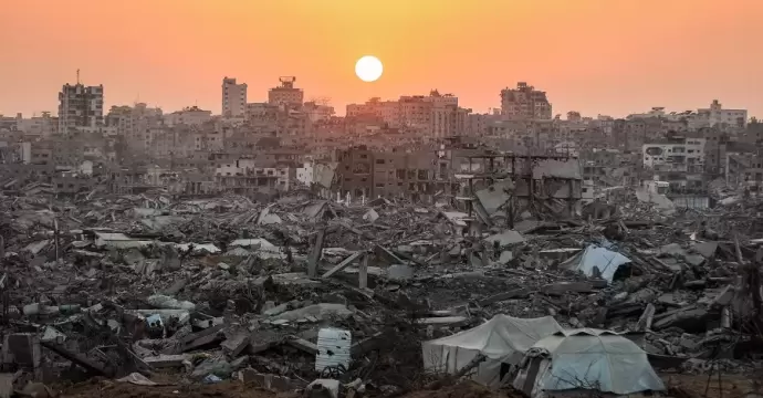 مصر تُحيي اليوم العالمي للتضامن مع الشعب الفلسطيني