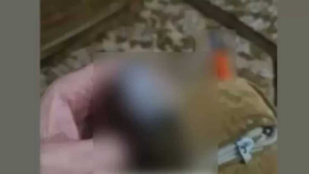 ضبط ترزي يبيع المخدرات على فيسبوك في البحيرة