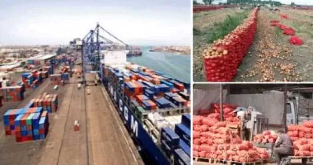 180 ألف طن صادرات غذائية خلال أسبوع.. والبطاطا والموالح تتصدران قائمة الخضر والفاكهة