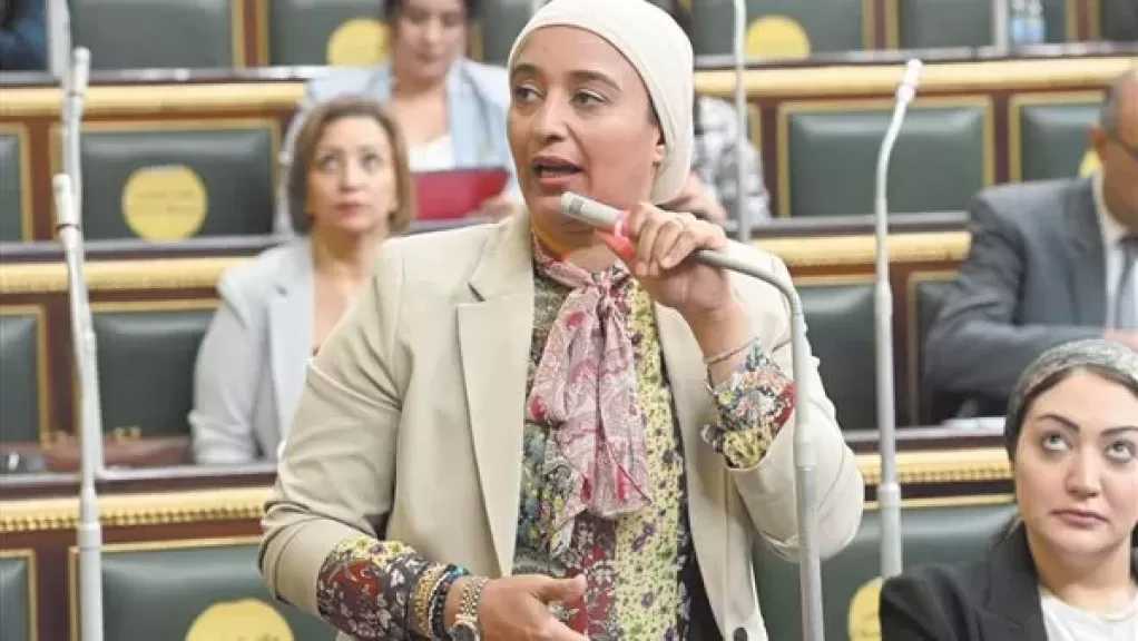 أميرة أبو شقة: الانتخابات الحالية لا تعبر عن صوت المواطن