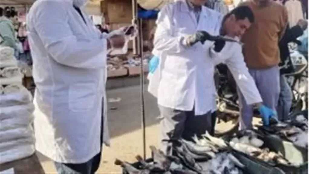 الزراعة: ضبط أكثر من 682 طنًا من اللحوم غير الصالحة وتحرير 1060 محضرًا خلال نوفمبر