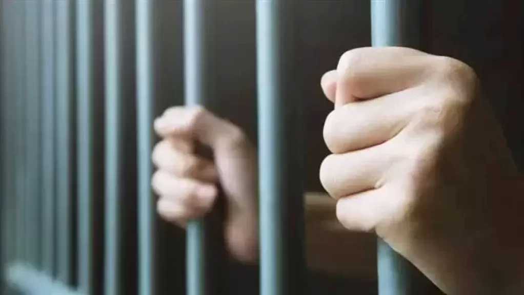 تأجيل نظر استئناف عاطلين على حكم حبسهما 3 سنوات