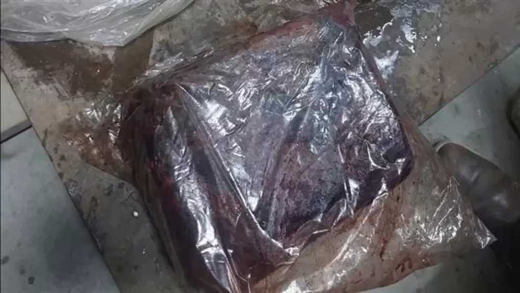 ضبط 30 طن كفتة مصنوعة من مخلفات الدجاج قبل بيعها للمواطنين بالجيزة