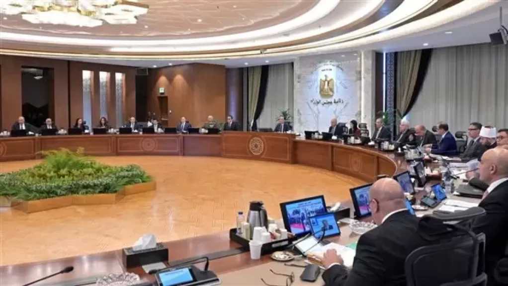 رئيس جهاز الإحصاء يُقدم عرضًا للحكومة حول التعداد العام للسكان والإسكان والمنشآت