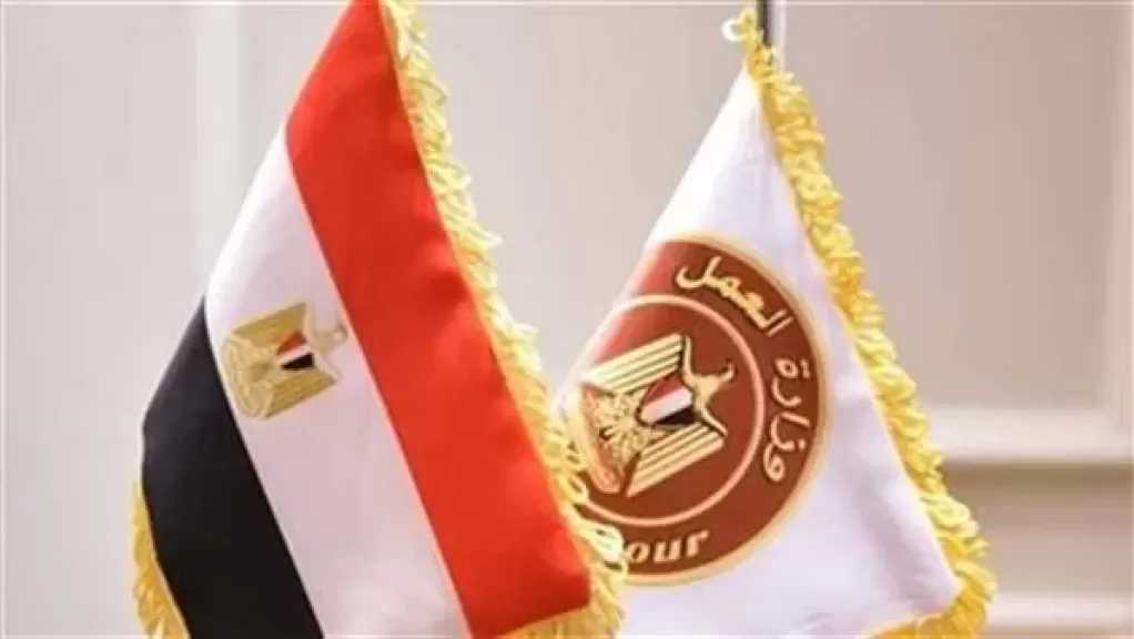 العمل: 1100 فرصة عمل جديدة بمشروع الضبعة