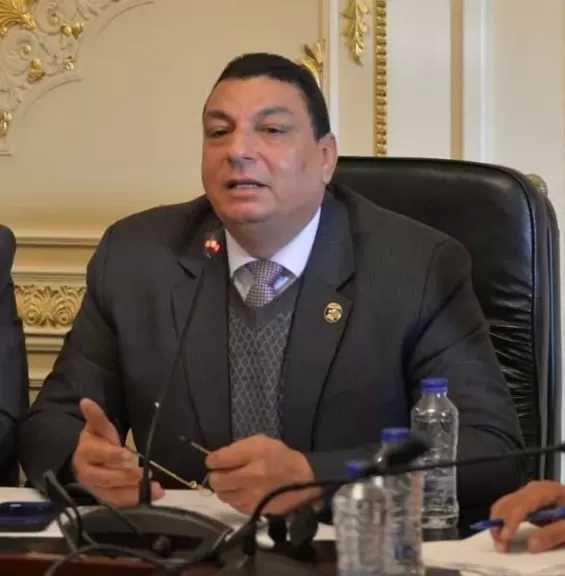 سامي نصر الله: مجلس النواب المقبل يستهدف تحقيق رؤية التنمية المستدامة للدولة في ضوء الجمهورية الجديدة