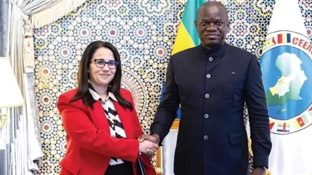 السفيرة المصرية تلتقي رئيس الجمهورية الجابوني