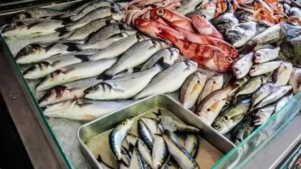 شعبة الأسماك: مصر الرابعة عالميًا والأولى أفريقيا في الإنتاج