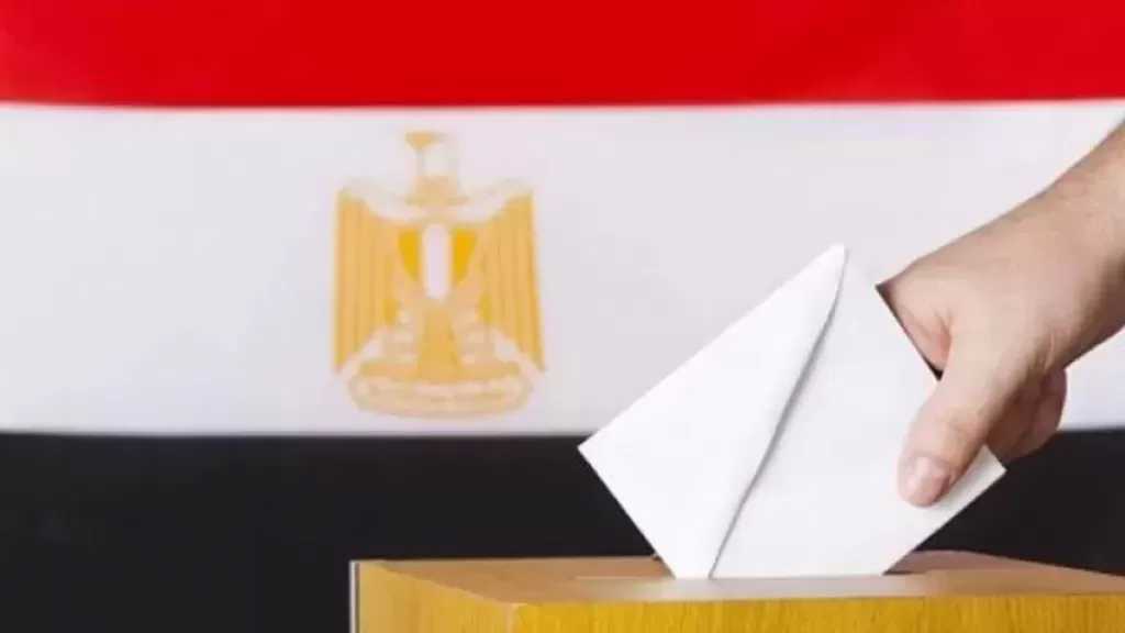 31 طعنا على نتيجة الـ19 دائرة الملغاة في انتخابات مجلس النواب