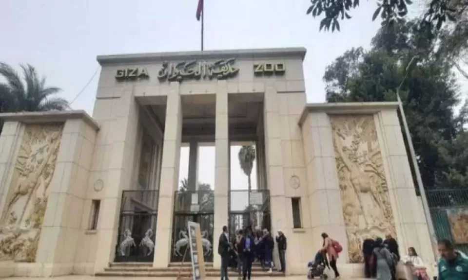 الحكومة تعلن موعد التشغيل التجريبي لحديقتي الحيوان والأورمان