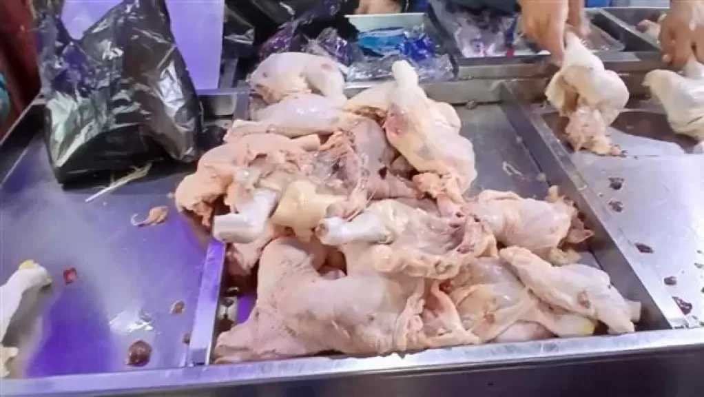 الزراعة: نجري مسحًا نشطًا في الأسواق للكشف على الدواجن