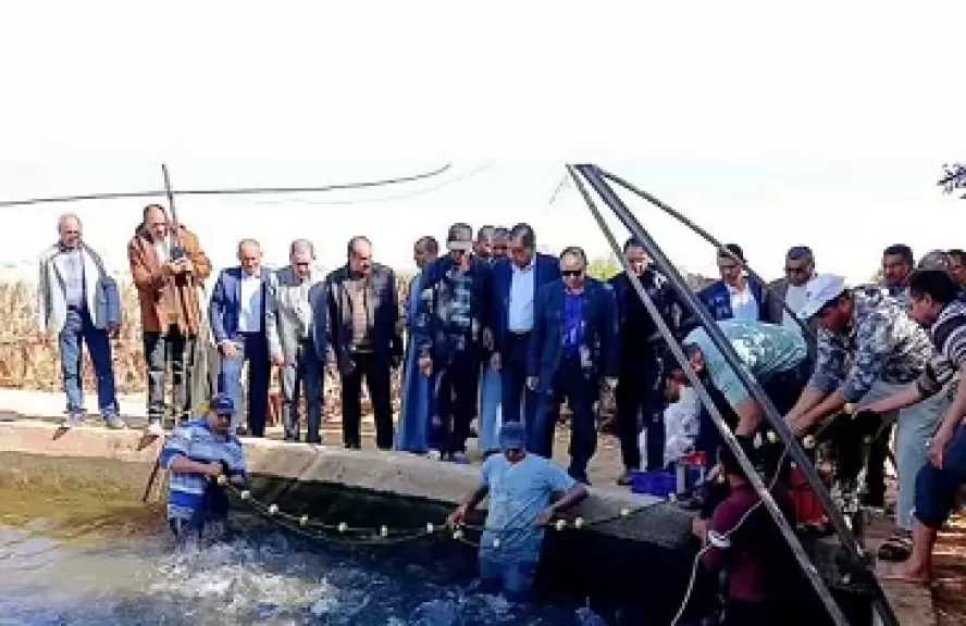 محافظ الوادي الجديد: طرح كميات من الأسماك إنتاج مركز الداخلة