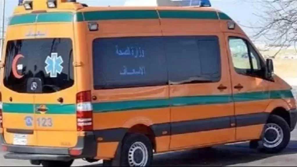 إصابة 5 أشخاص في حادث انقلاب ميكروباص على طريق القاهرة الفيوم الصحراوي
