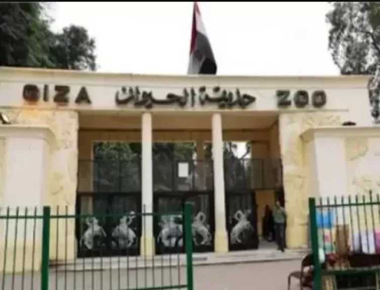 مجلس الوزراء: القطاع الخاص سيتولى إدارة حديقتي الحيوان والأورمان بالجيزة.. والافتتاح التجريبي عام 2026
