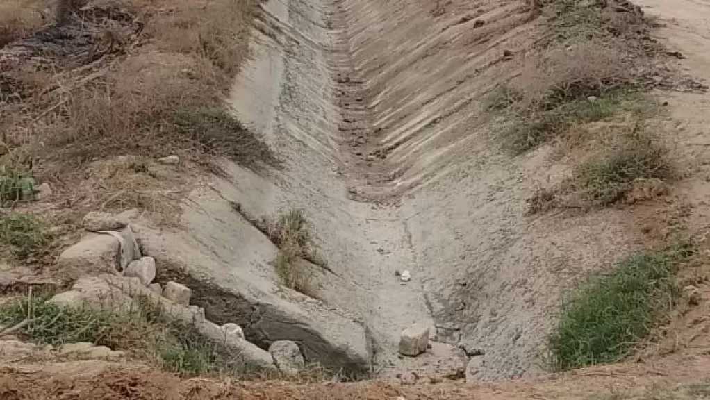 استصلاح الأراضي يزيل 80 حالة تعد على الأراضي الزراعية خلال أسبوع