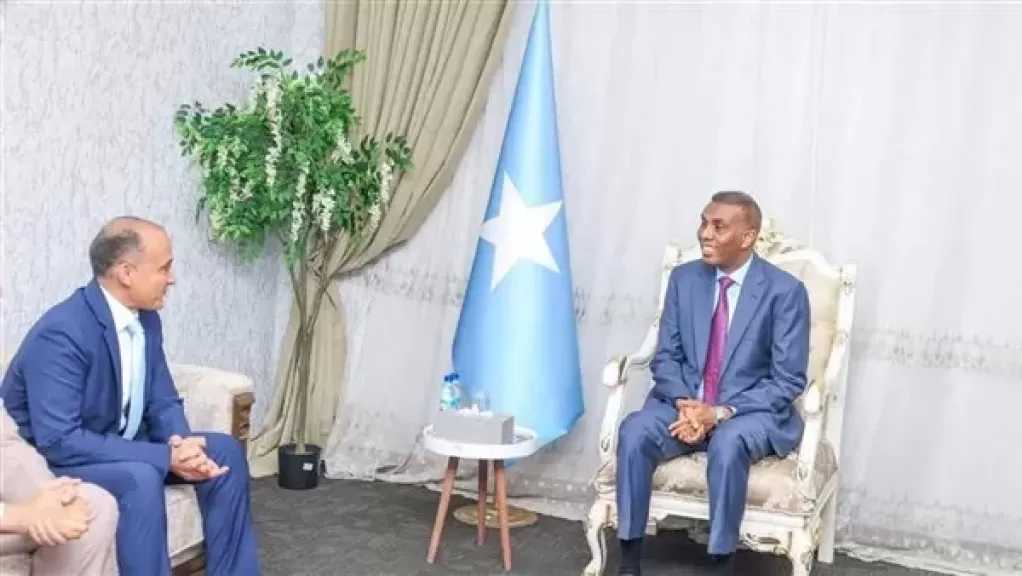 السفير المصري في مقديشيو يلتقي رئيس الوزراء ووزير الدفاع الصومالي
